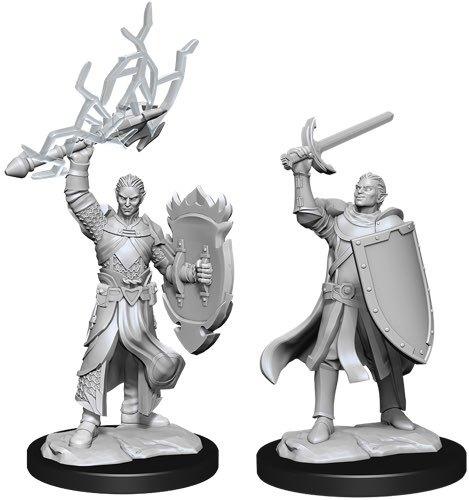 D&D Nolzur's Marvelous: Unpainted Miniatures - Half-Elf Paladin Male