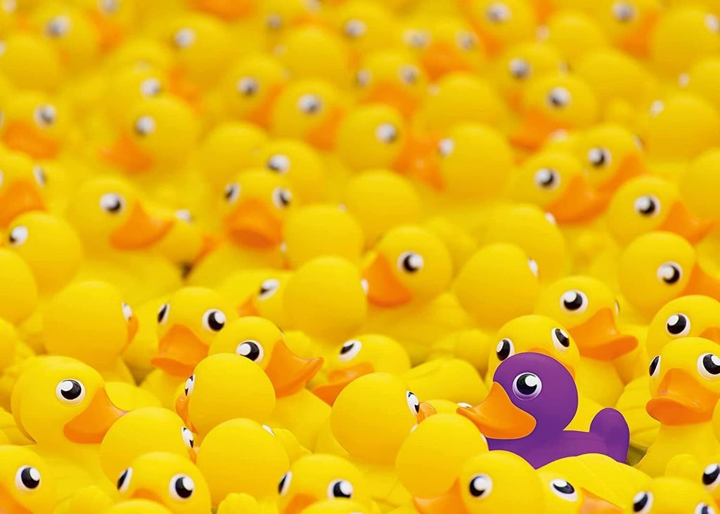 Ravensburger: Rubber Ducks Challenge (1000pc Jigsaw)