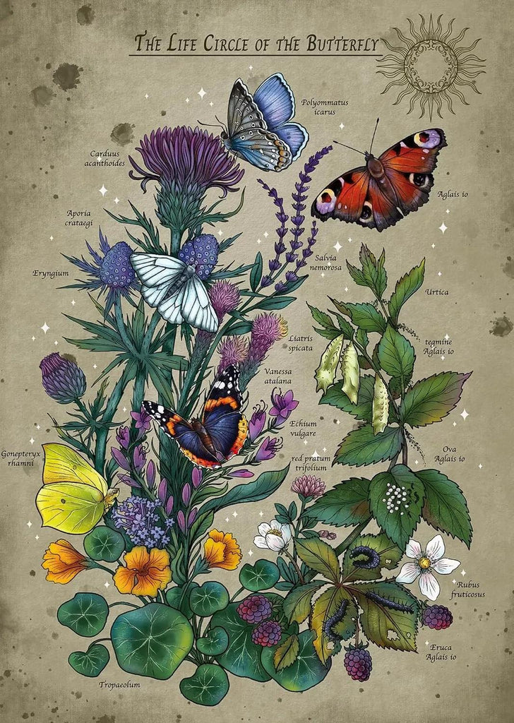 Ravensburger: Lifecircle Butterfly Puzzle (1000pc Jigsaw)