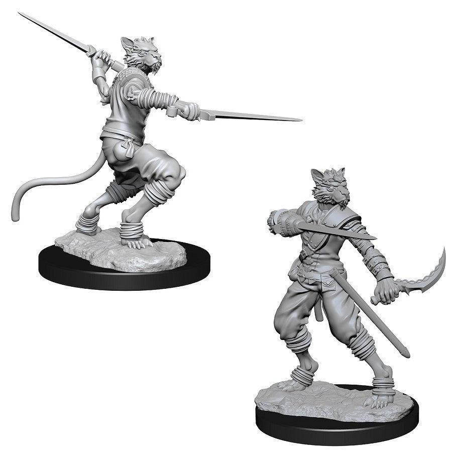 D&D Nolzur's Marvelous: Unpainted Miniatures - Male Tabaxi Rogue