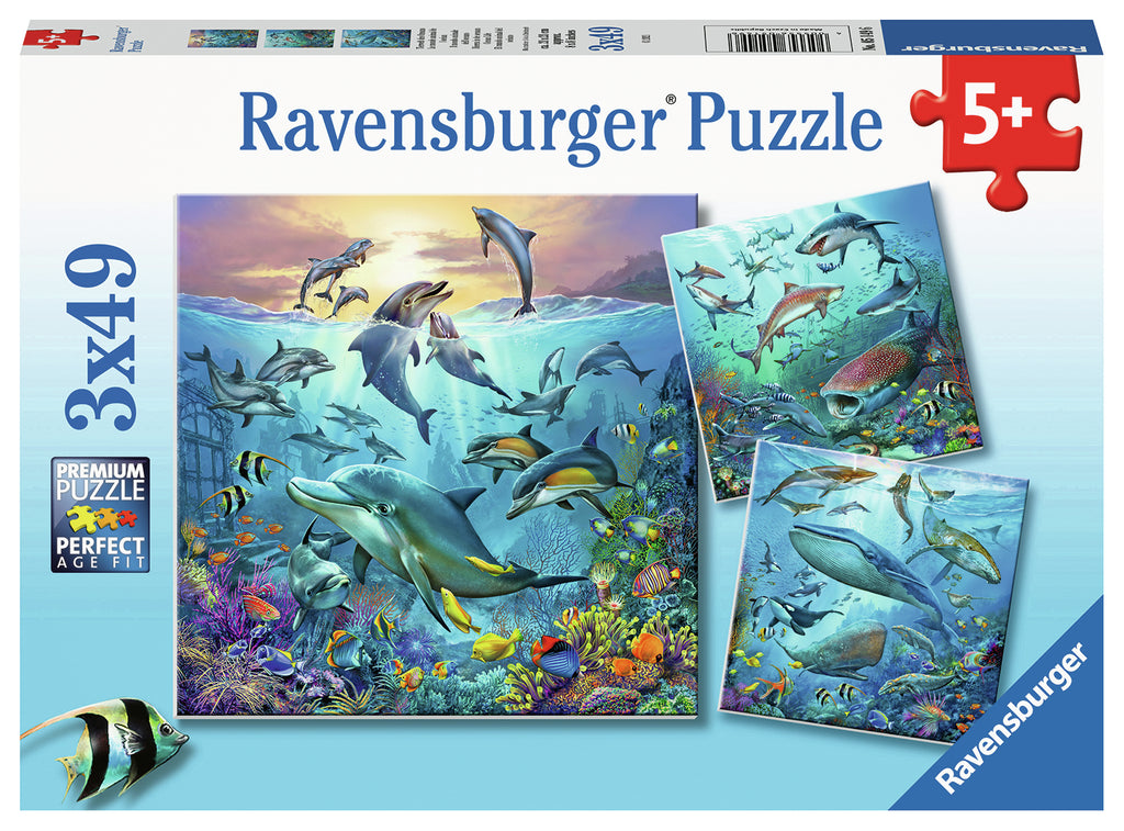 Ravensburger: Ocean Life (3x49pc Jigsaws)