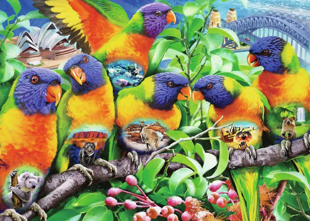 Ravensburger: Land of the Lorikeet (1000pc Jigsaw)