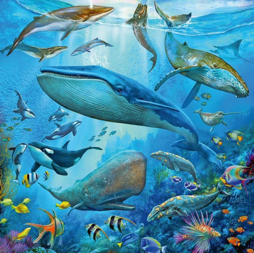 Ravensburger: Ocean Life (3x49pc Jigsaws)