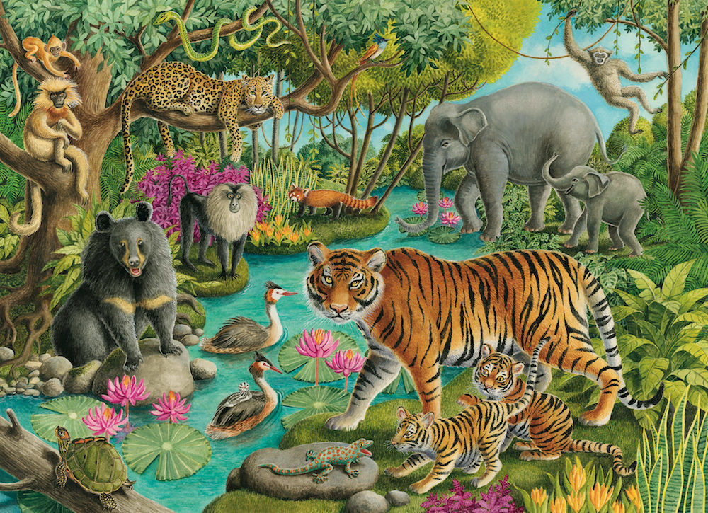 Ravensburger: Animals of India (60pc Jigsaw)