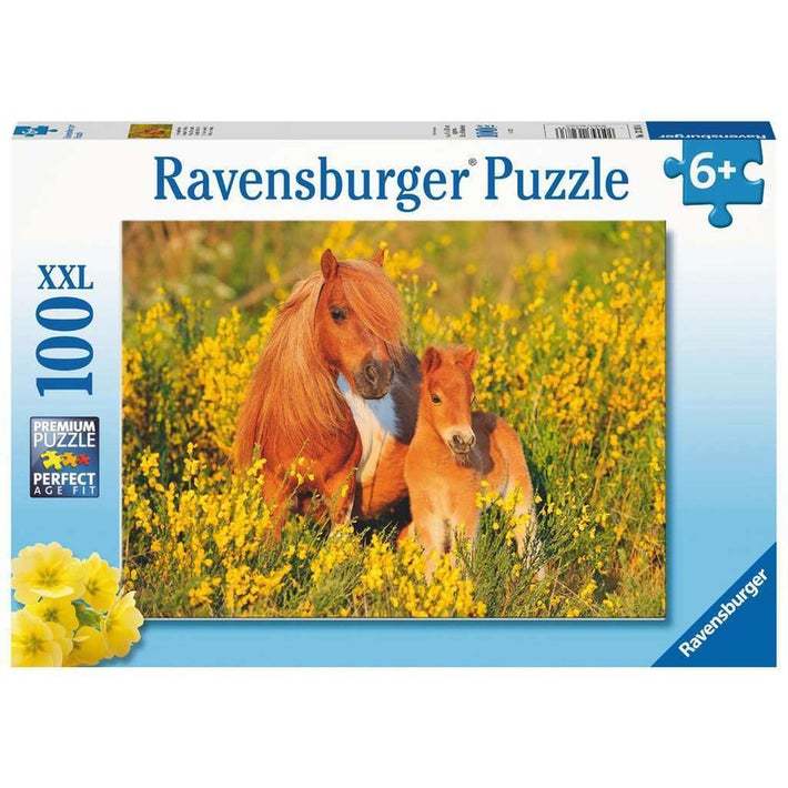 Ravensburger: Shetland Ponies (100pc Jigsaw)