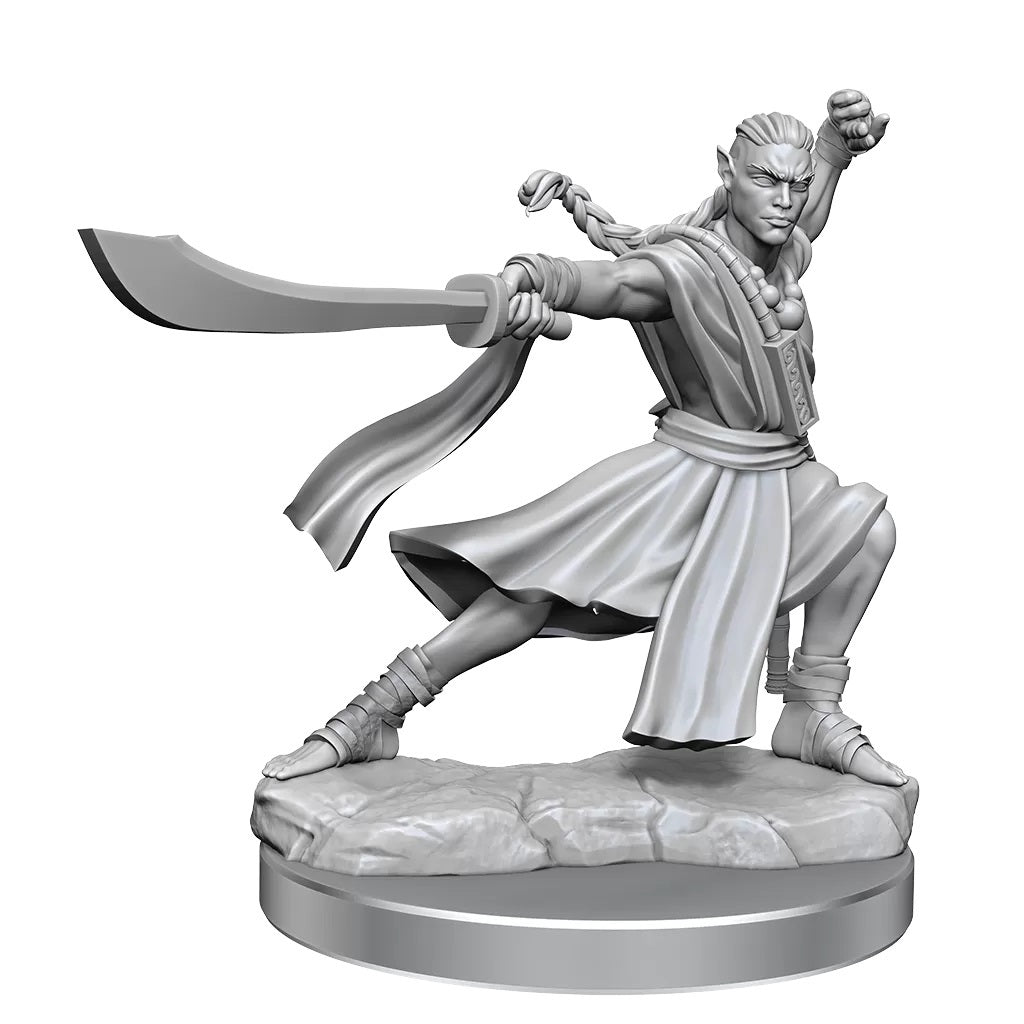 D&D Frameworks: Elf Monk Male