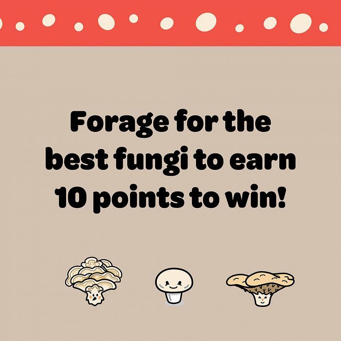 Funky Fungi (Card Game)