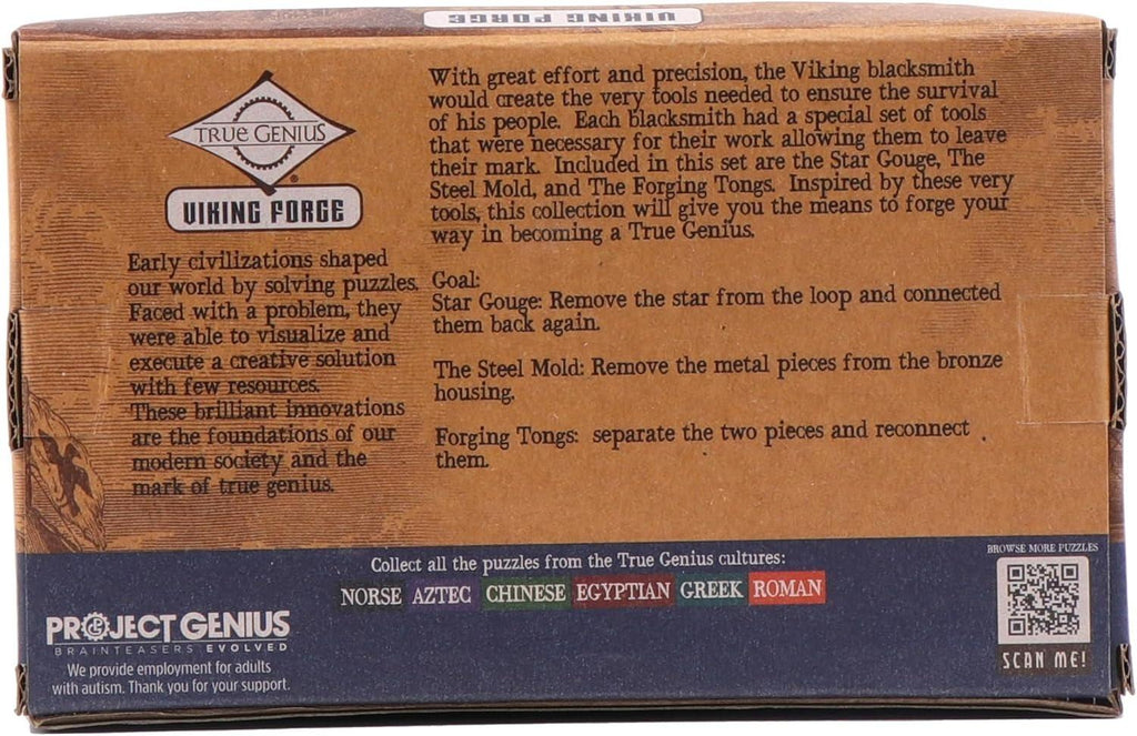 Project Genius: Viking Forge