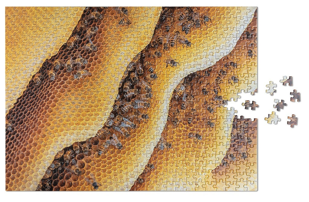 Wildlife Pattern: Bee Puzzle (500pc Jigsaw)