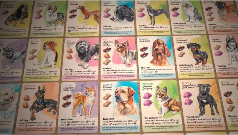 Dog Park (Board Game)