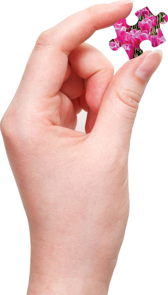 Hinkler: Mindbogglers - Take Me to the Netherlands Puzzle (500pc Jigsaw)